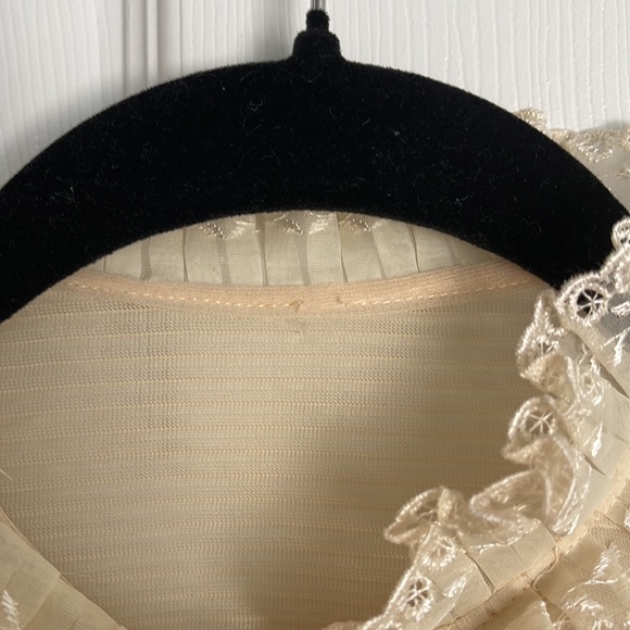 Gorgeous sheer ruffle front blouse - Picture 3 of 3